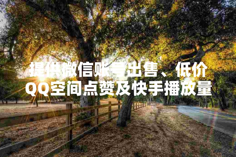 提供微信账号出售、低价QQ空间点赞及快手播放量服务，并有网易订阅自动发卡平台。
