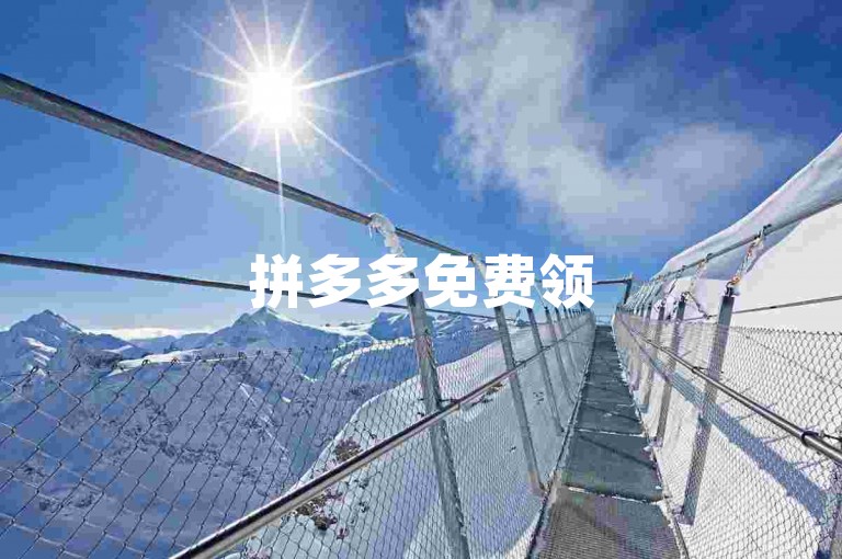 拼多多免费领5件商品需要满足一定人数要求，而B站业务下单平台则提供便捷的购物体验。