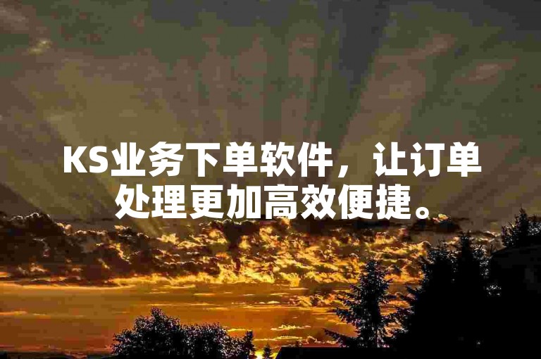 KS业务下单软件，让订单处理更加高效便捷。