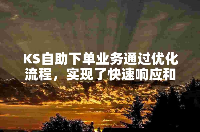 KS自助下单业务通过优化流程，实现了快速响应和高效服务。