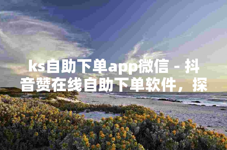 ks自助下单app微信 - 抖音赞在线自助下单软件，探索便捷的社交媒体推广工具。
