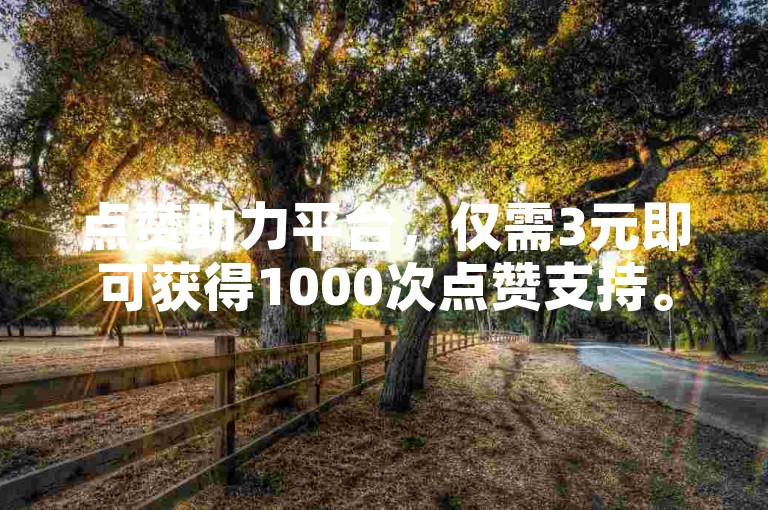 点赞助力平台，仅需3元即可获得1000次点赞支持。