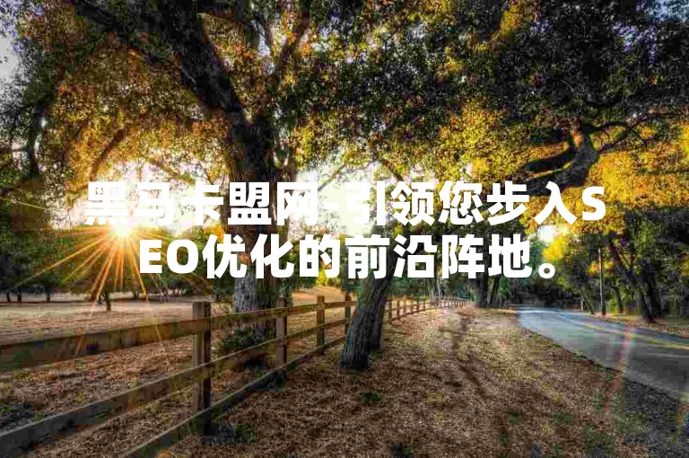 黑马卡盟网-引领您步入SEO优化的前沿阵地。
