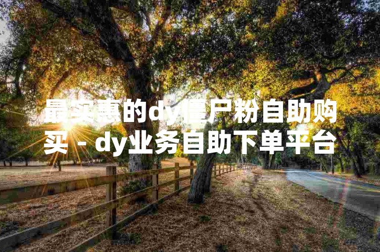 最实惠的dy僵尸粉自助购买 - dy业务自助下单平台网站江西