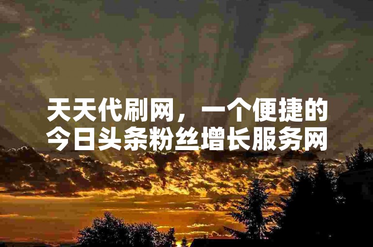 天天代刷网，一个便捷的今日头条粉丝增长服务网站。