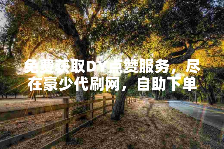 免费获取DY点赞服务，尽在豪少代刷网，自助下单便捷又高效。