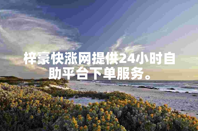 梓豪快涨网提供24小时自助平台下单服务。