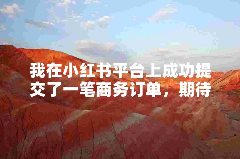 我在小红书平台上成功提交了一笔商务订单，期待着高效的业务处理。