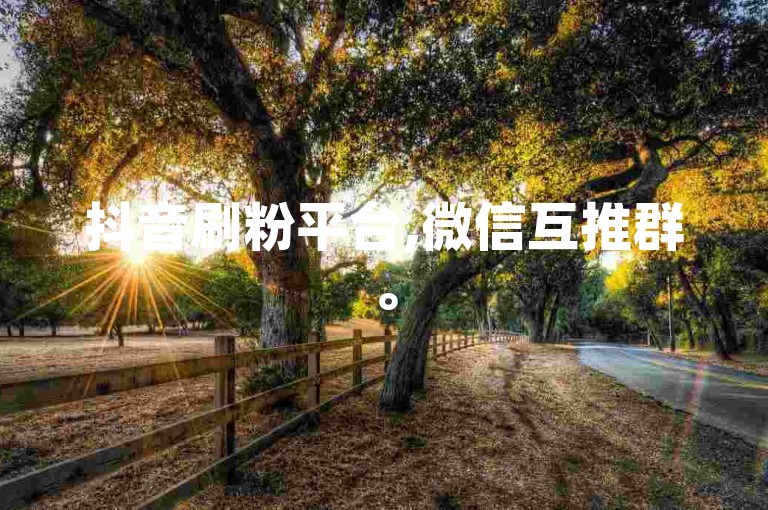 抖音刷粉平台,微信互推群。