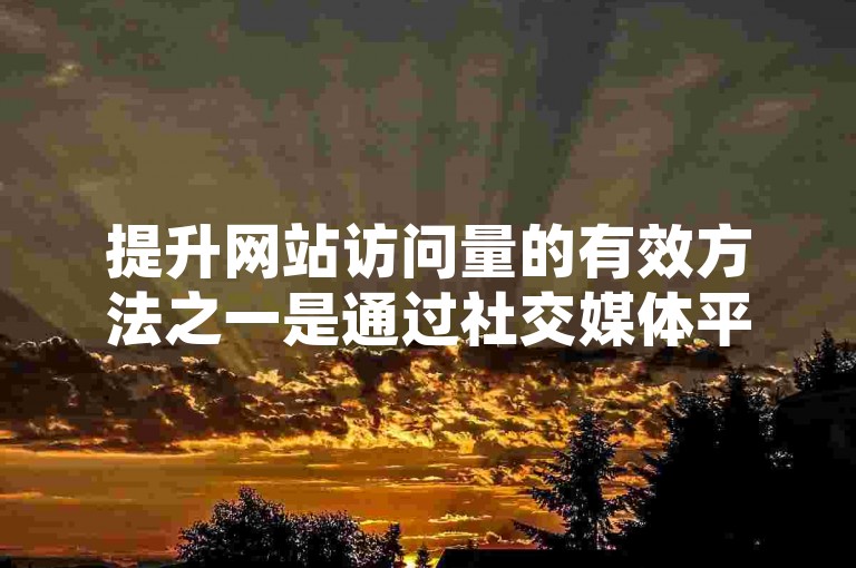 提升网站访问量的有效方法之一是通过社交媒体平台如抖音进行宣传推广。