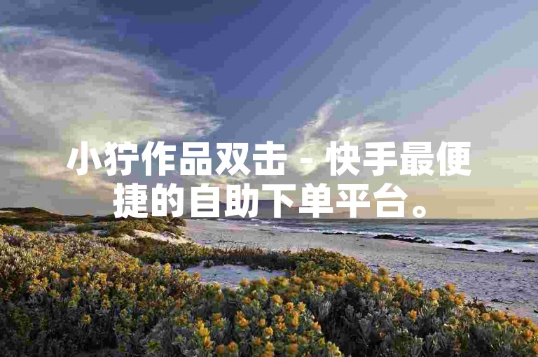 小狞作品双击 - 快手最便捷的自助下单平台。