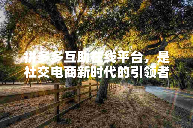 拼多多互助在线平台，是社交电商新时代的引领者。