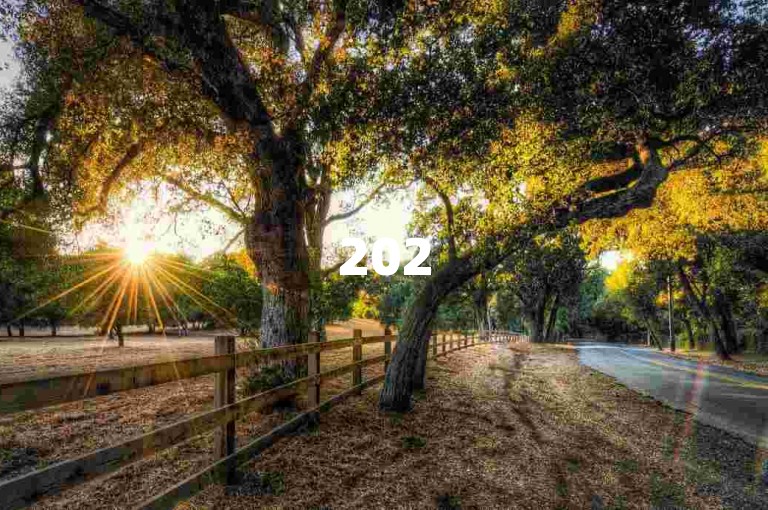 2025年如何加入微信拼多多互助群并使用砍价软件呢？