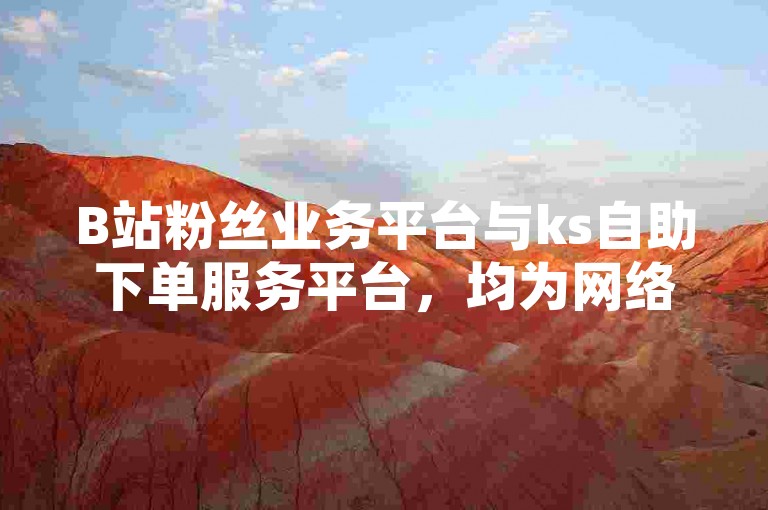 B站粉丝业务平台与ks自助下单服务平台，均为网络服务领域内，针对特定社交媒体平台提供便捷服务的在线平台。