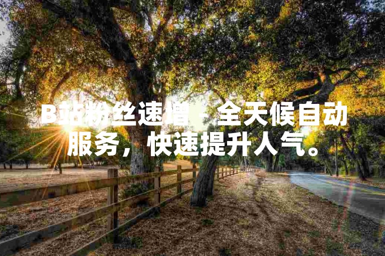 B站粉丝速增 - 全天候自动服务，快速提升人气。