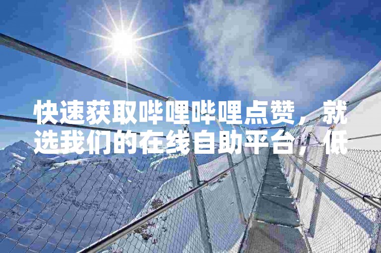 快速获取哔哩哔哩点赞，就选我们的在线自助平台，低价高效，秒速服务。