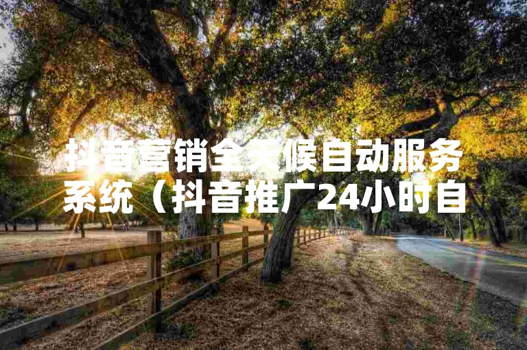 抖音营销全天候自动服务系统（抖音推广24小时自助平台）