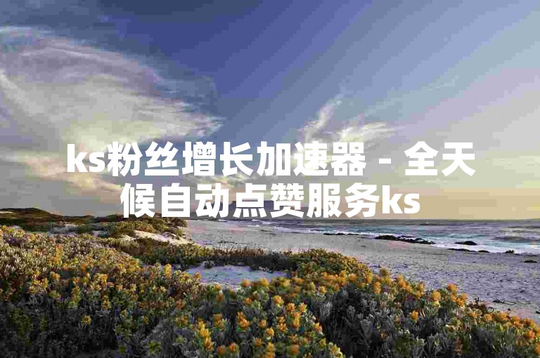 ks粉丝增长加速器 - 全天候自动点赞服务ks