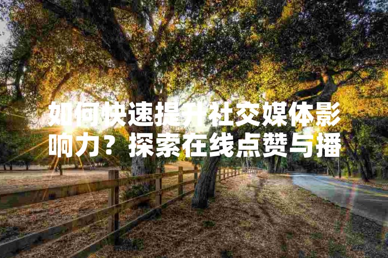 如何快速提升社交媒体影响力？探索在线点赞与播放量增长服务，实现24小时不间断的人气飙升。