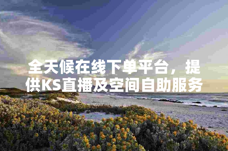 全天候在线下单平台，提供KS直播及空间自助服务，确保抖音播放量24小时增长。