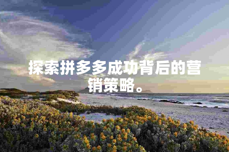 探索拼多多成功背后的营销策略。
