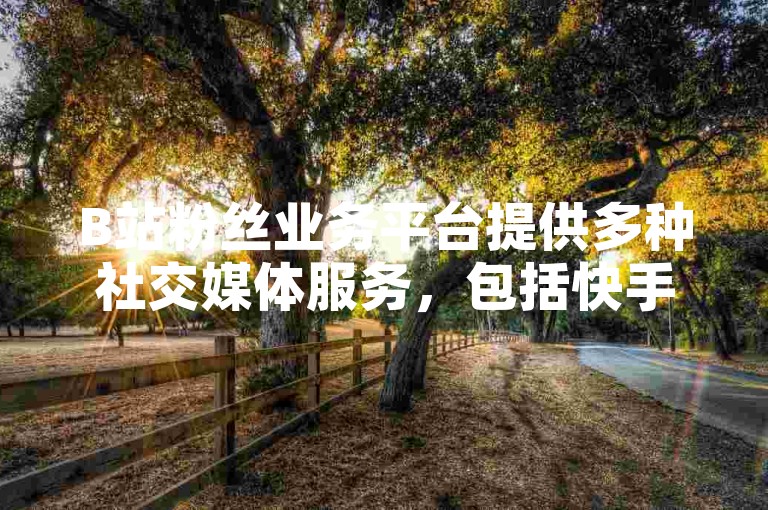 B站粉丝业务平台提供多种社交媒体服务，包括快手和抖音的点赞链接。