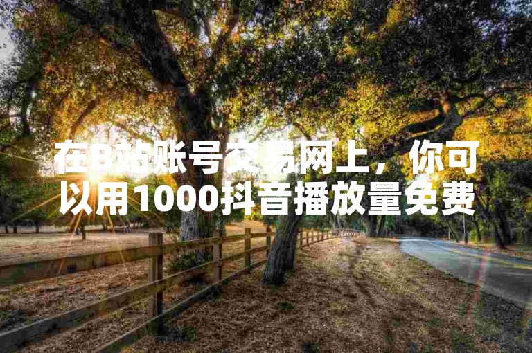 在B站账号交易网上，你可以用1000抖音播放量免费下单。