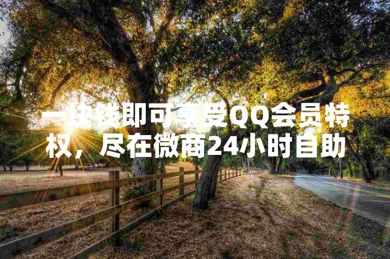 一块钱即可享受QQ会员特权，尽在微商24小时自助下单商城。