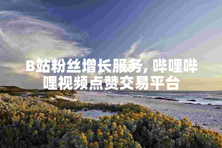 B站粉丝增长服务, 哔哩哔哩视频点赞交易平台