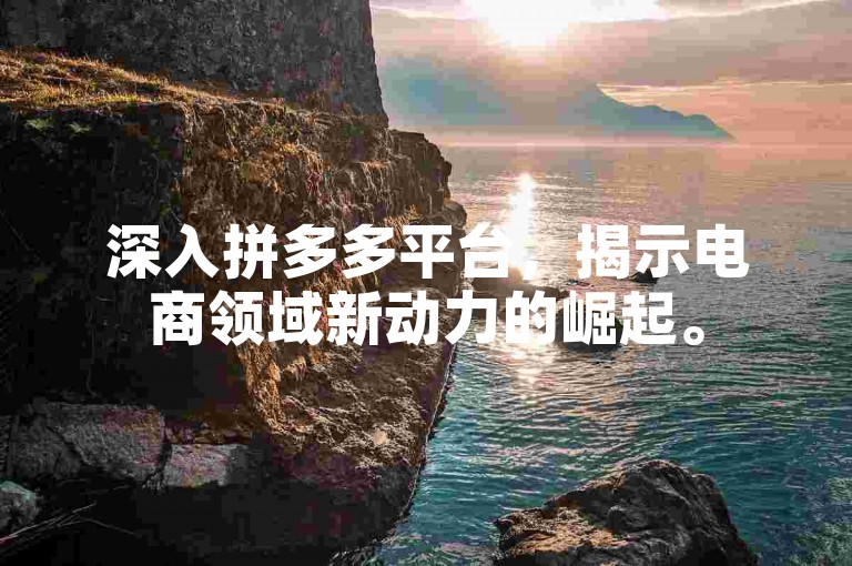 深入拼多多平台，揭示电商领域新动力的崛起。