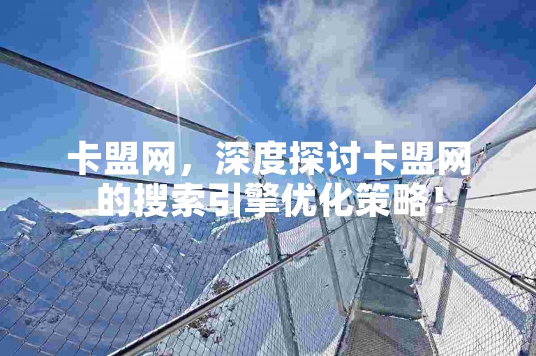 卡盟网，深度探讨卡盟网的搜索引擎优化策略！