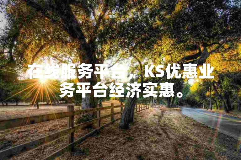 在线服务平台，KS优惠业务平台经济实惠。