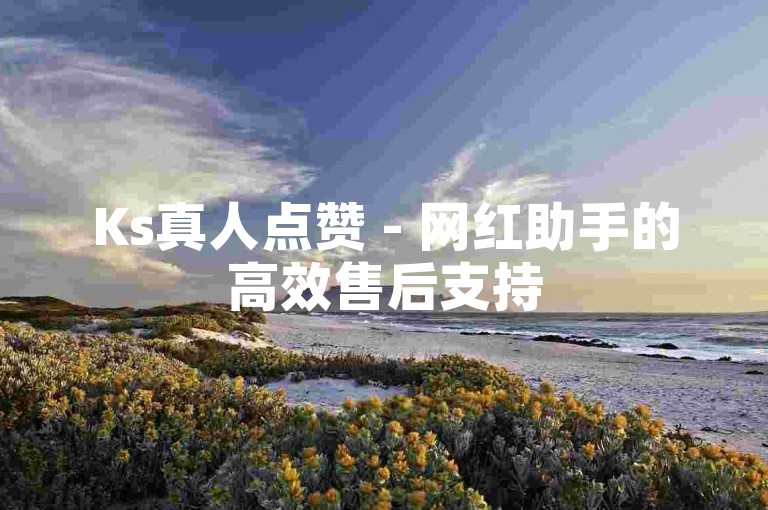 Ks真人点赞 - 网红助手的高效售后支持