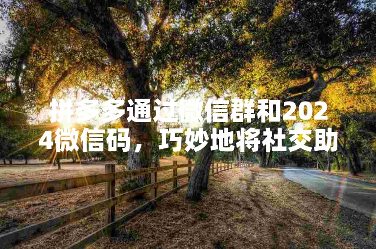 拼多多通过微信群和2024微信码，巧妙地将社交助力与数字时代紧密连接起来。