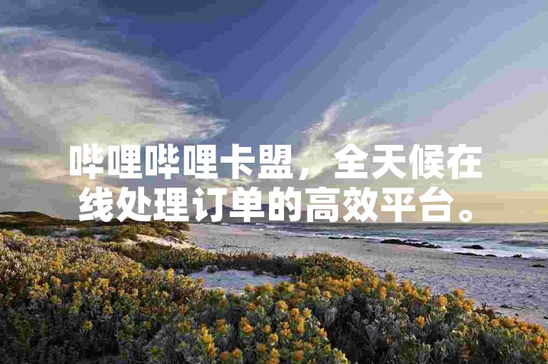 哔哩哔哩卡盟，全天候在线处理订单的高效平台。