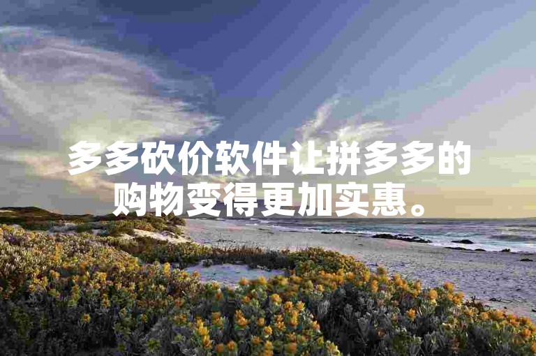 多多砍价软件让拼多多的购物变得更加实惠。