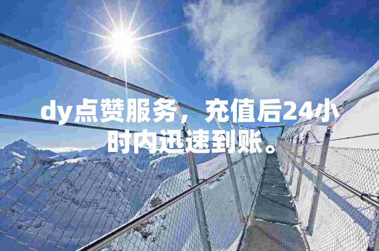 dy点赞服务，充值后24小时内迅速到账。