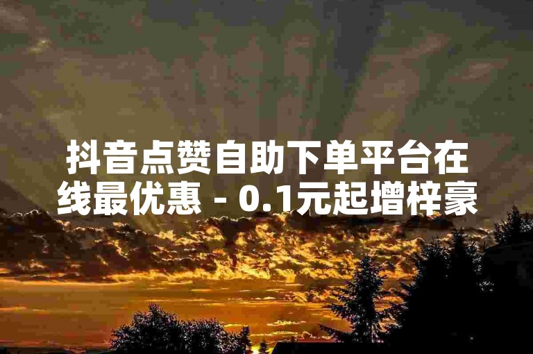抖音点赞自助下单平台在线最优惠 - 0.1元起增梓豪快手粉丝。