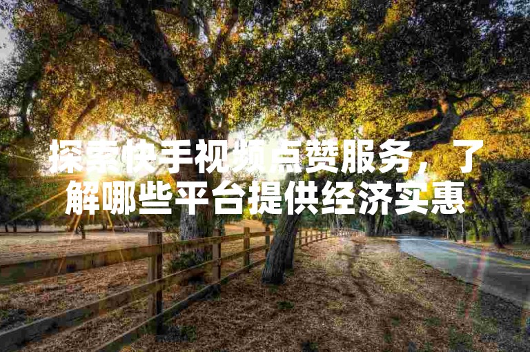 探索快手视频点赞服务，了解哪些平台提供经济实惠的下单选项。