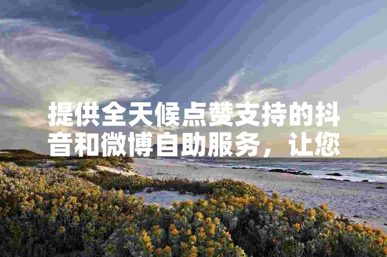 提供全天候点赞支持的抖音和微博自助服务，让您的社交媒体内容随时获得关注。