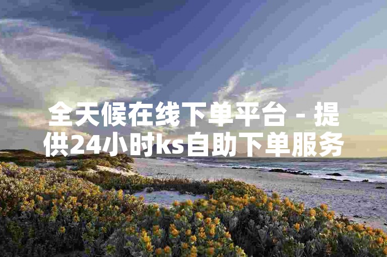 全天候在线下单平台 - 提供24小时ks自助下单服务，价格实惠。