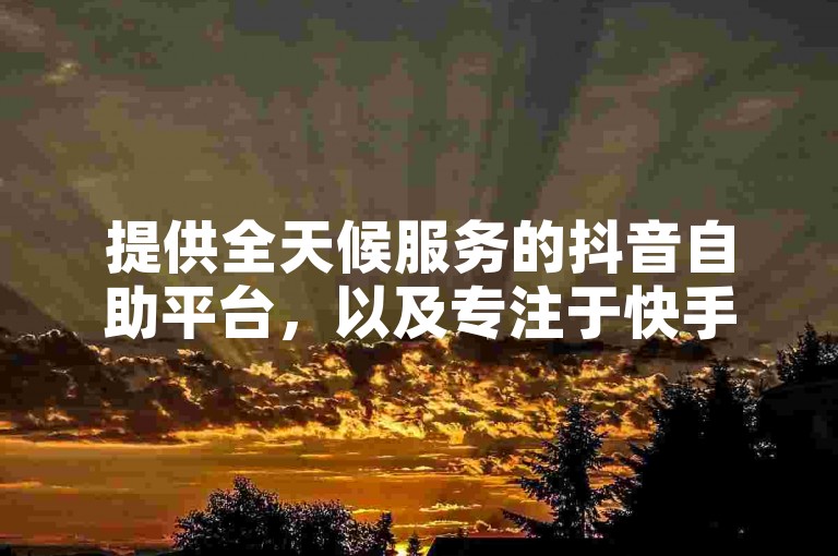 提供全天候服务的抖音自助平台，以及专注于快手点赞的XX平台。