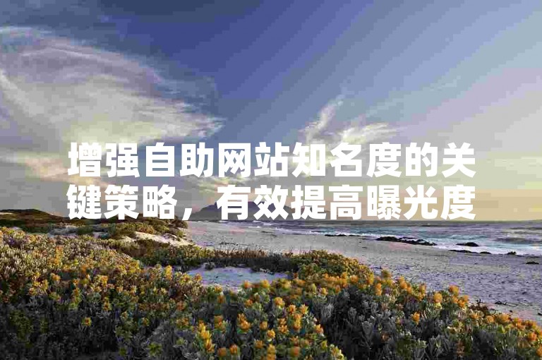 增强自助网站知名度的关键策略，有效提高曝光度的技巧，新手必学！