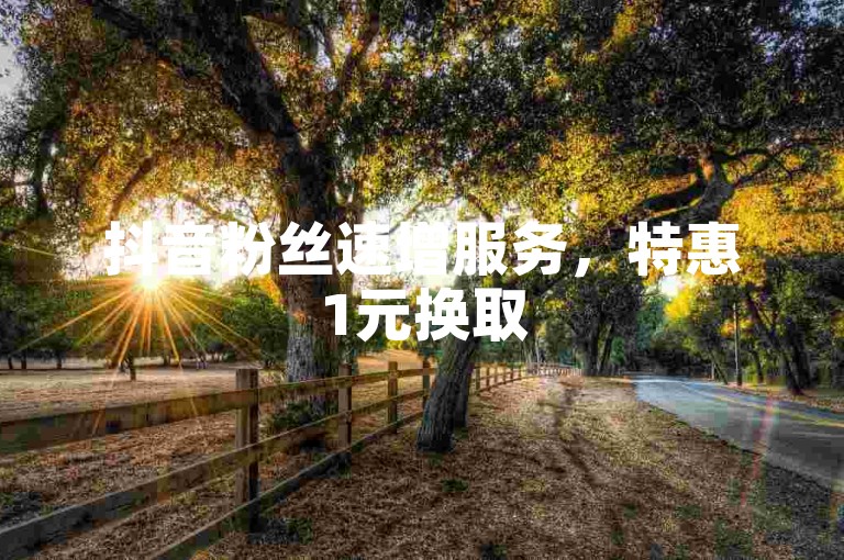 抖音粉丝速增服务，特惠1元换取500关注，快速提升人气。