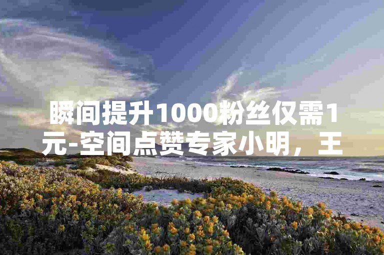 瞬间提升1000粉丝仅需1元-空间点赞专家小明，王者荣耀人气飙升服务。