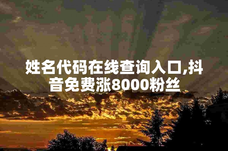 姓名代码在线查询入口,抖音免费涨8000粉丝
