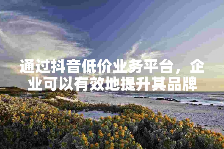通过抖音低价业务平台，企业可以有效地提升其品牌的知名度和市场影响力。