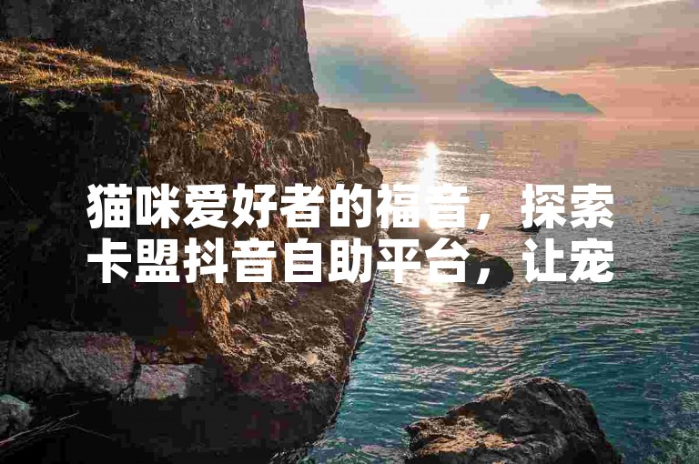 猫咪爱好者的福音，探索卡盟抖音自助平台，让宠物生活更加精彩！