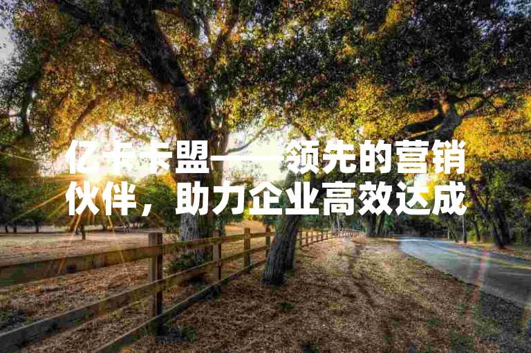亿卡卡盟——领先的营销伙伴，助力企业高效达成推广和销售目标。