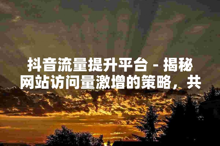 抖音流量提升平台 - 揭秘网站访问量激增的策略，共享抖音成长心得！